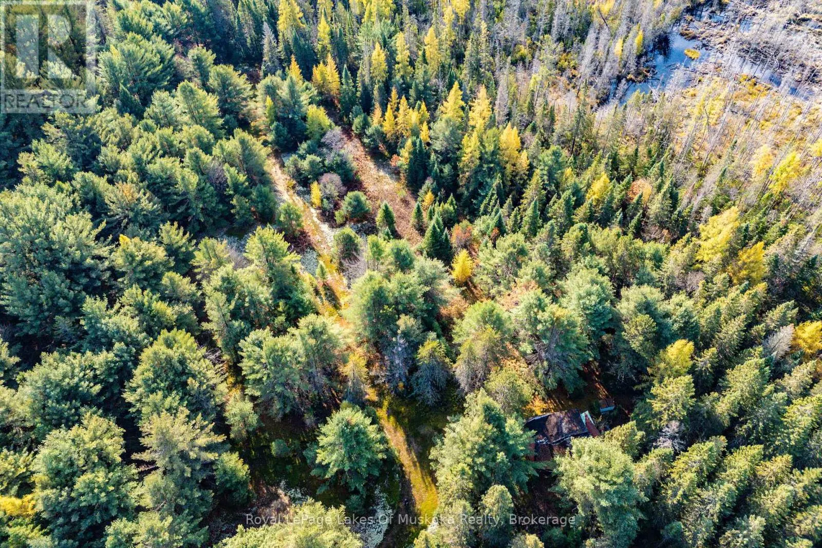 267 & 321 CARDWELL LAKE ROAD