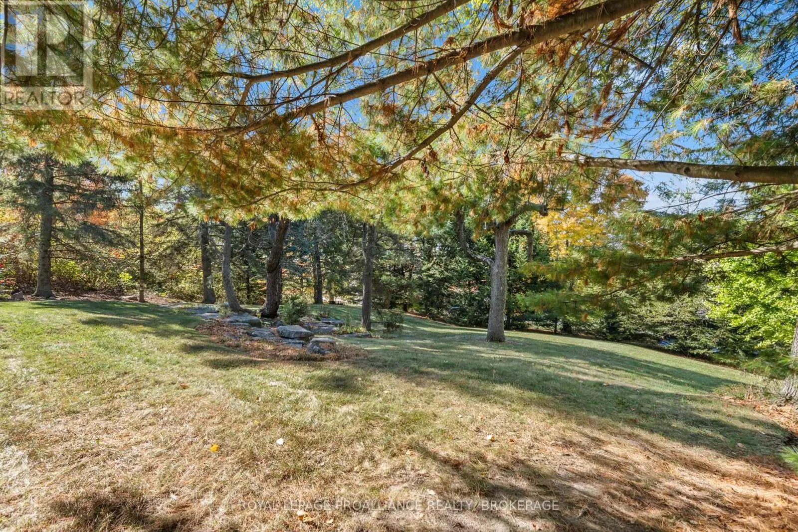 1125 LINCOLN DRIVE