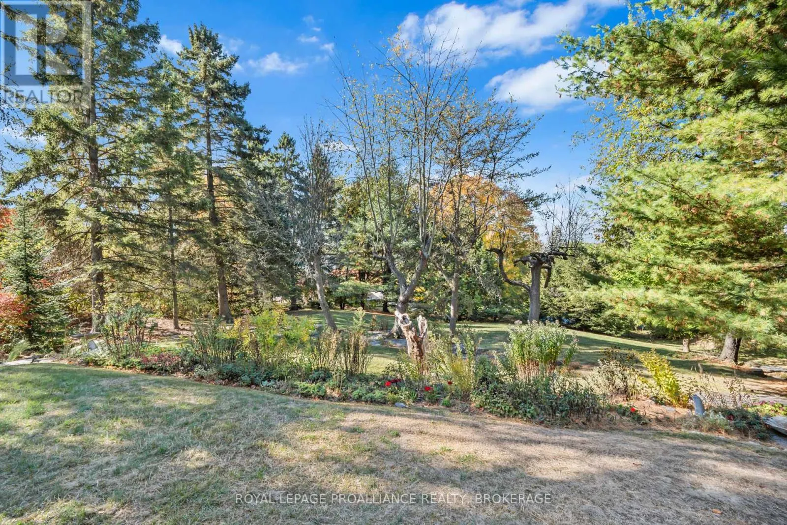 1125 LINCOLN DRIVE