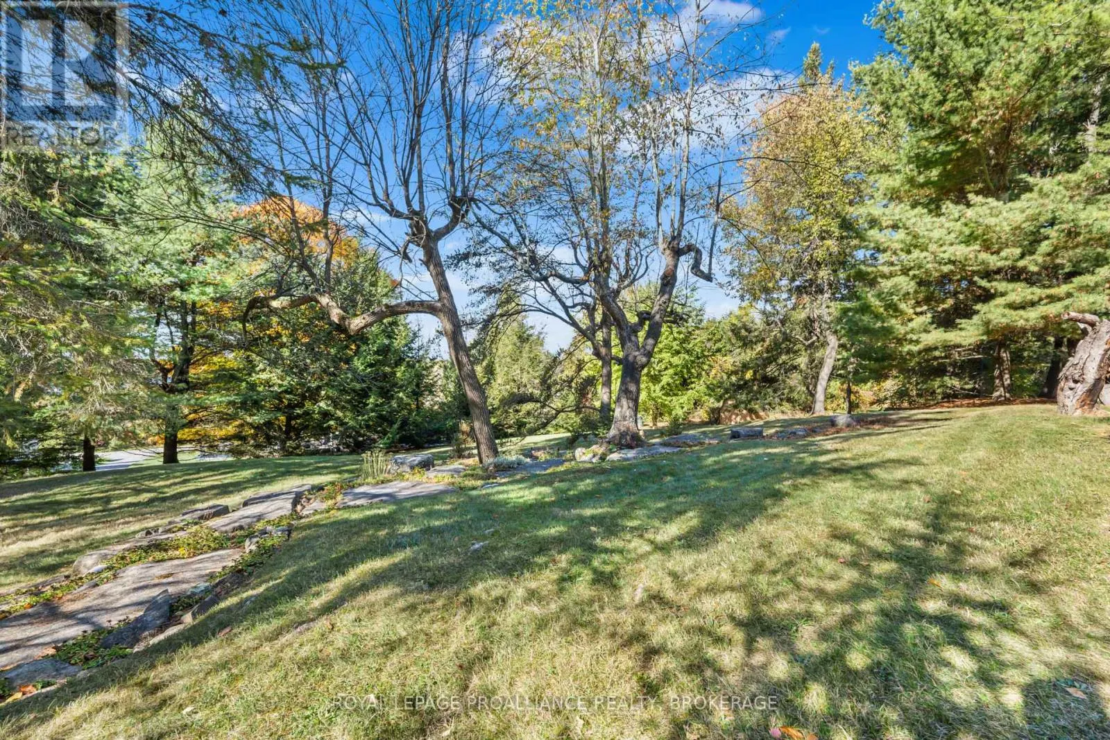 1125 LINCOLN DRIVE