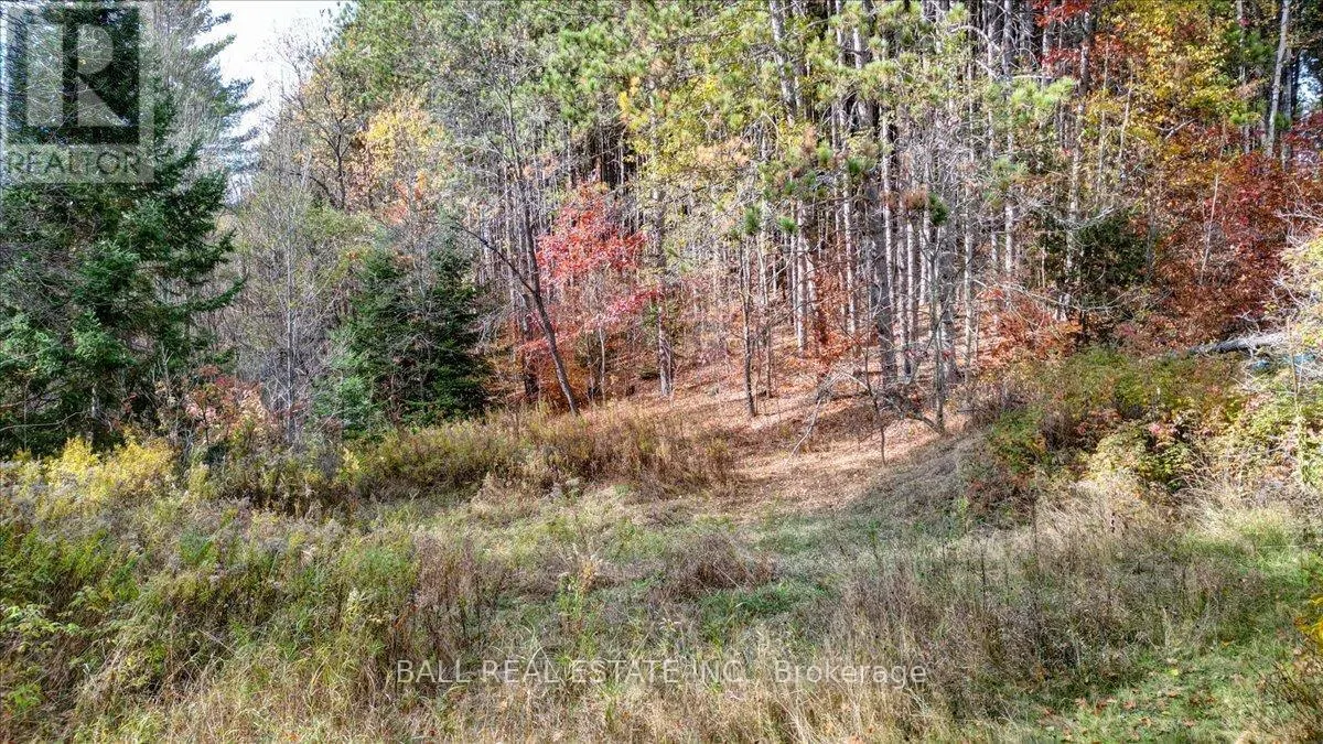 463 QUARRY ROAD