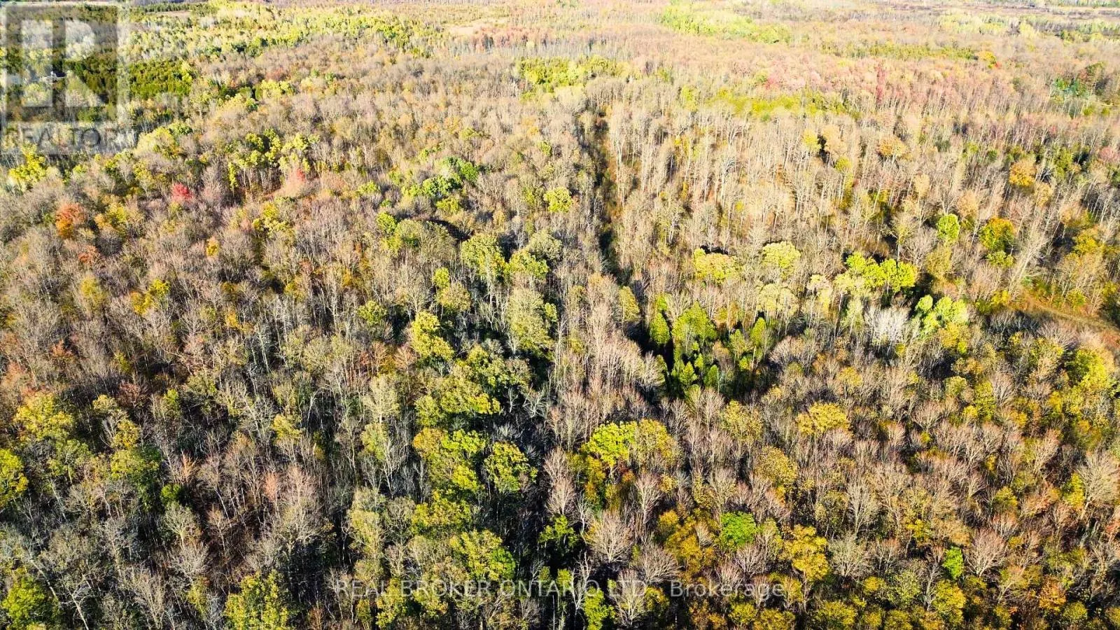 LOT 7 COUNTY 7 ROAD