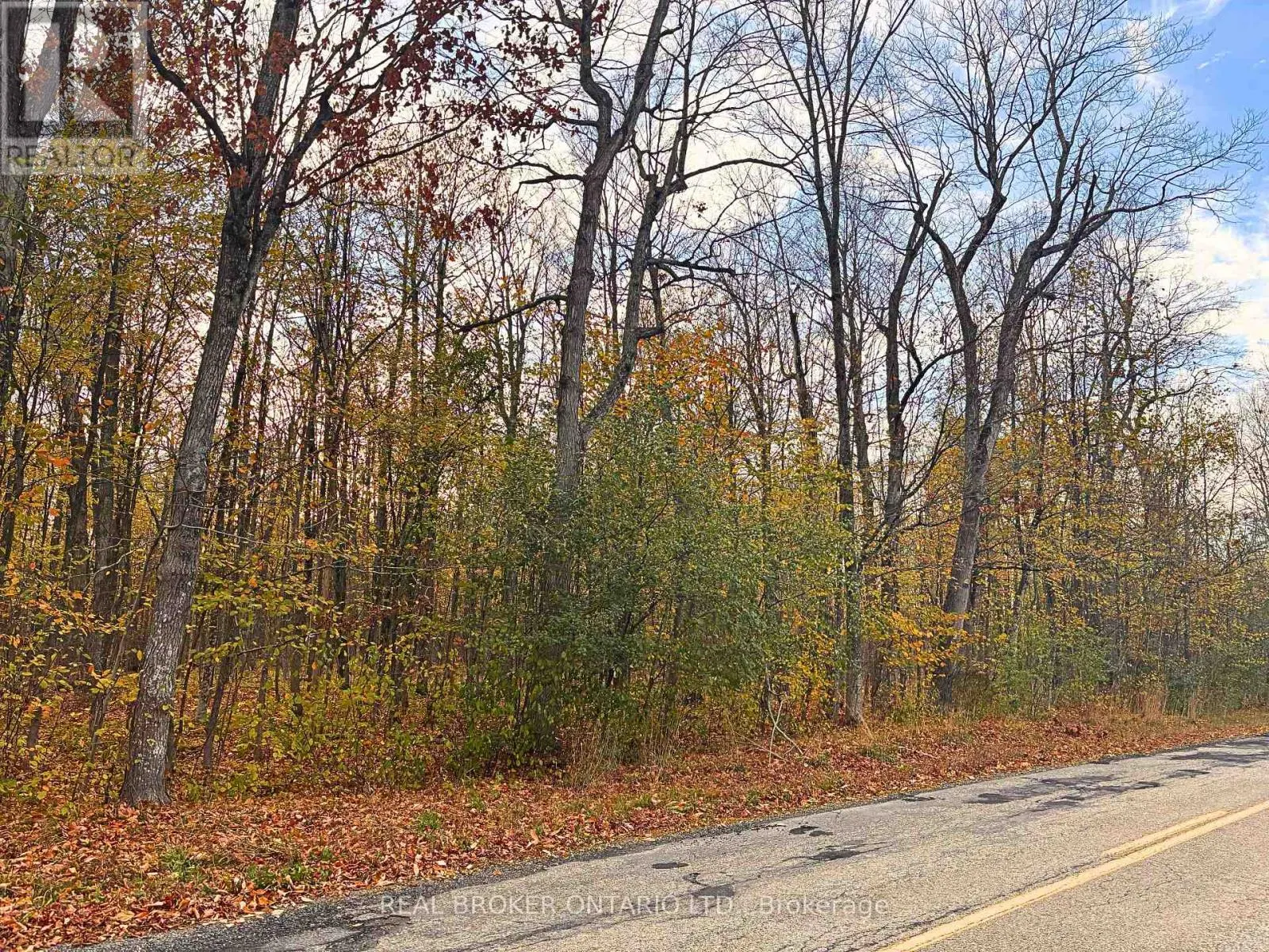 LOT 7 COUNTY 7 ROAD