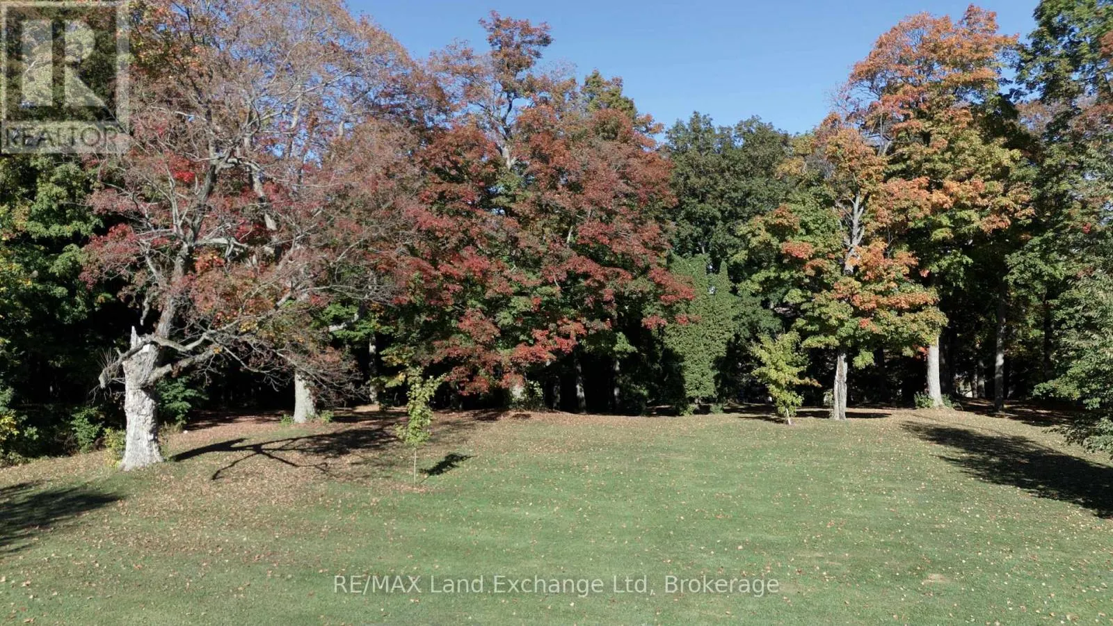 14519 ELGINFIELD ROAD