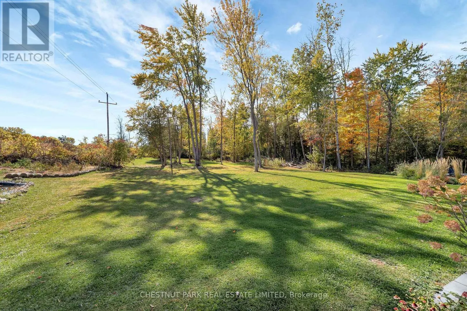 407 COUNTY ROAD 4