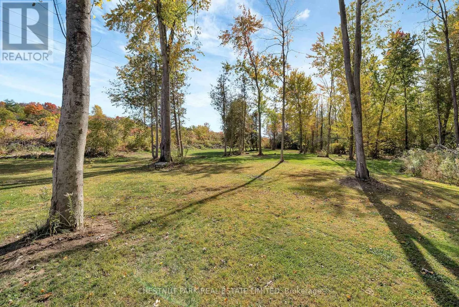 407 COUNTY ROAD 4