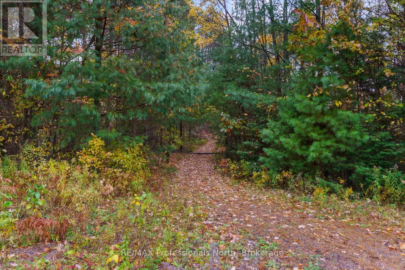 4538 COUNTY ROAD 121