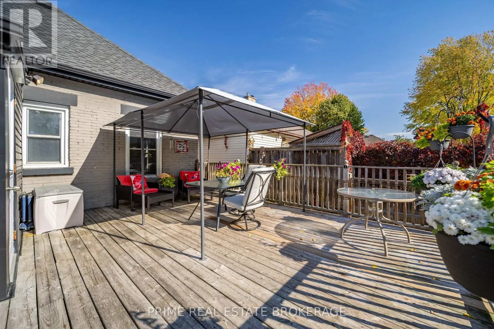 11 BRISCOE STREET E