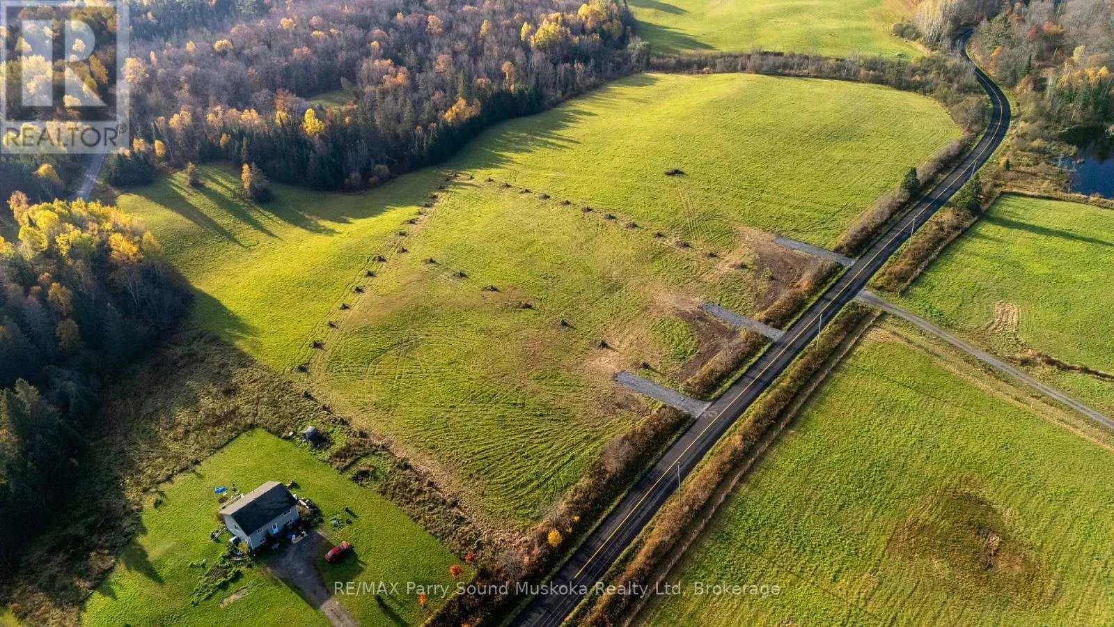 271 BALSAM CROSS