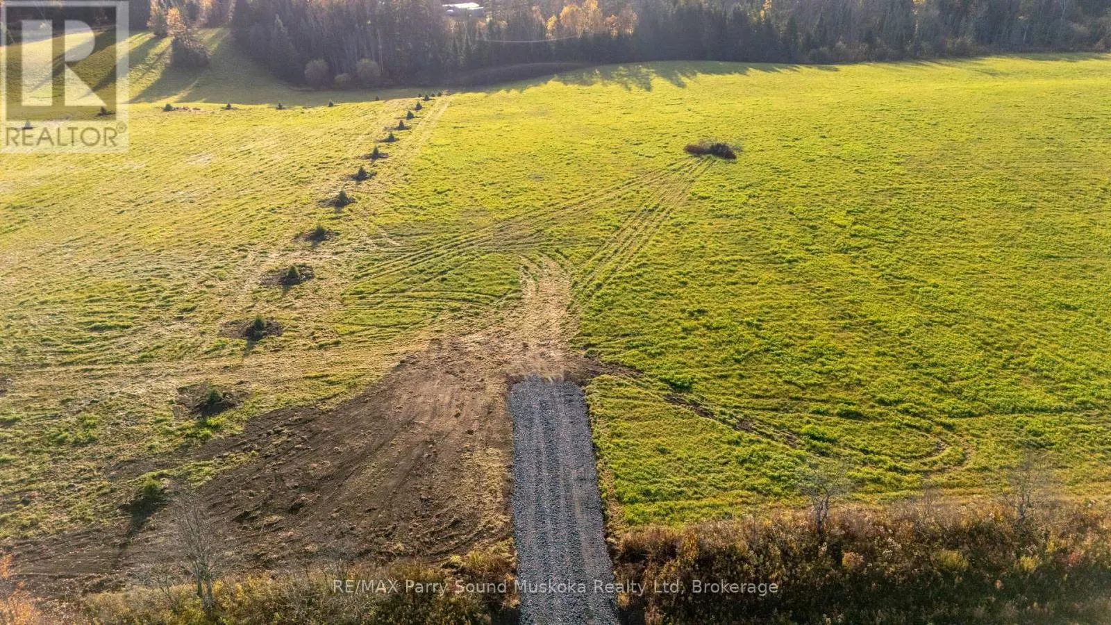 267 BALSAM CROSS
