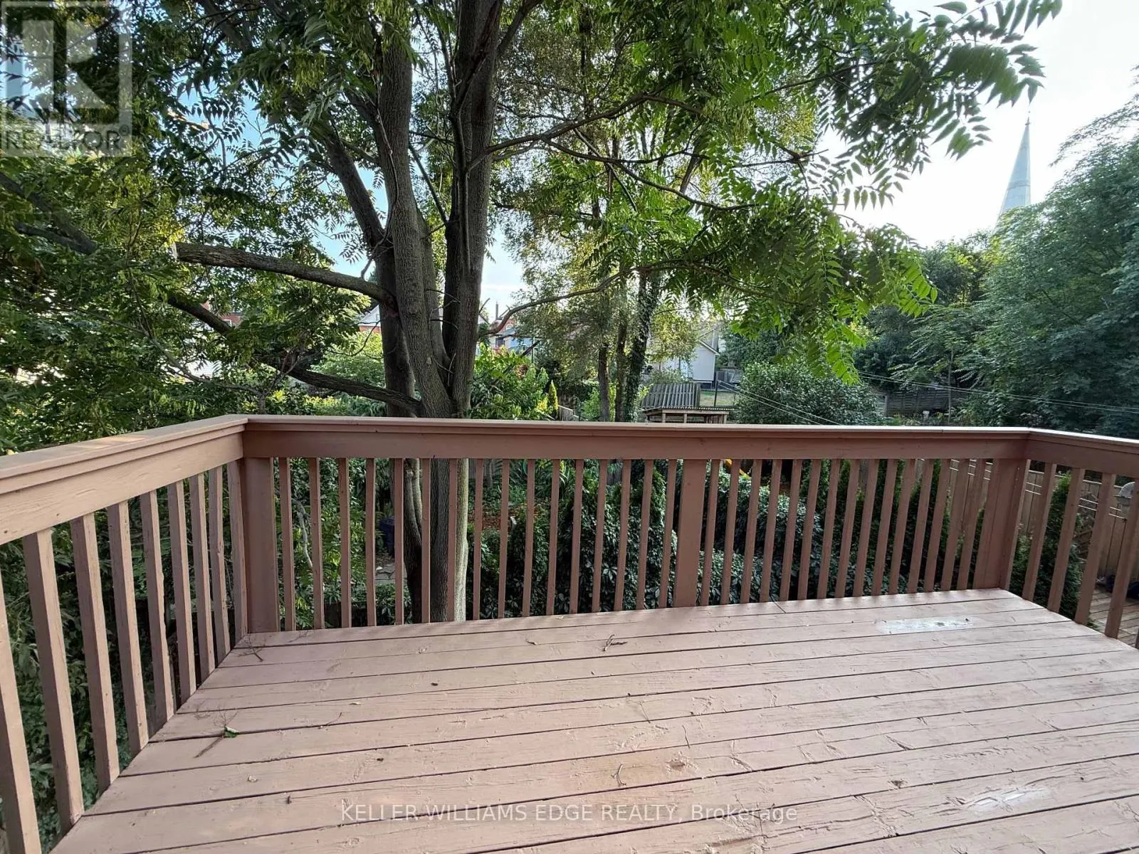 UPPER LEVEL: 87 PETER STREET