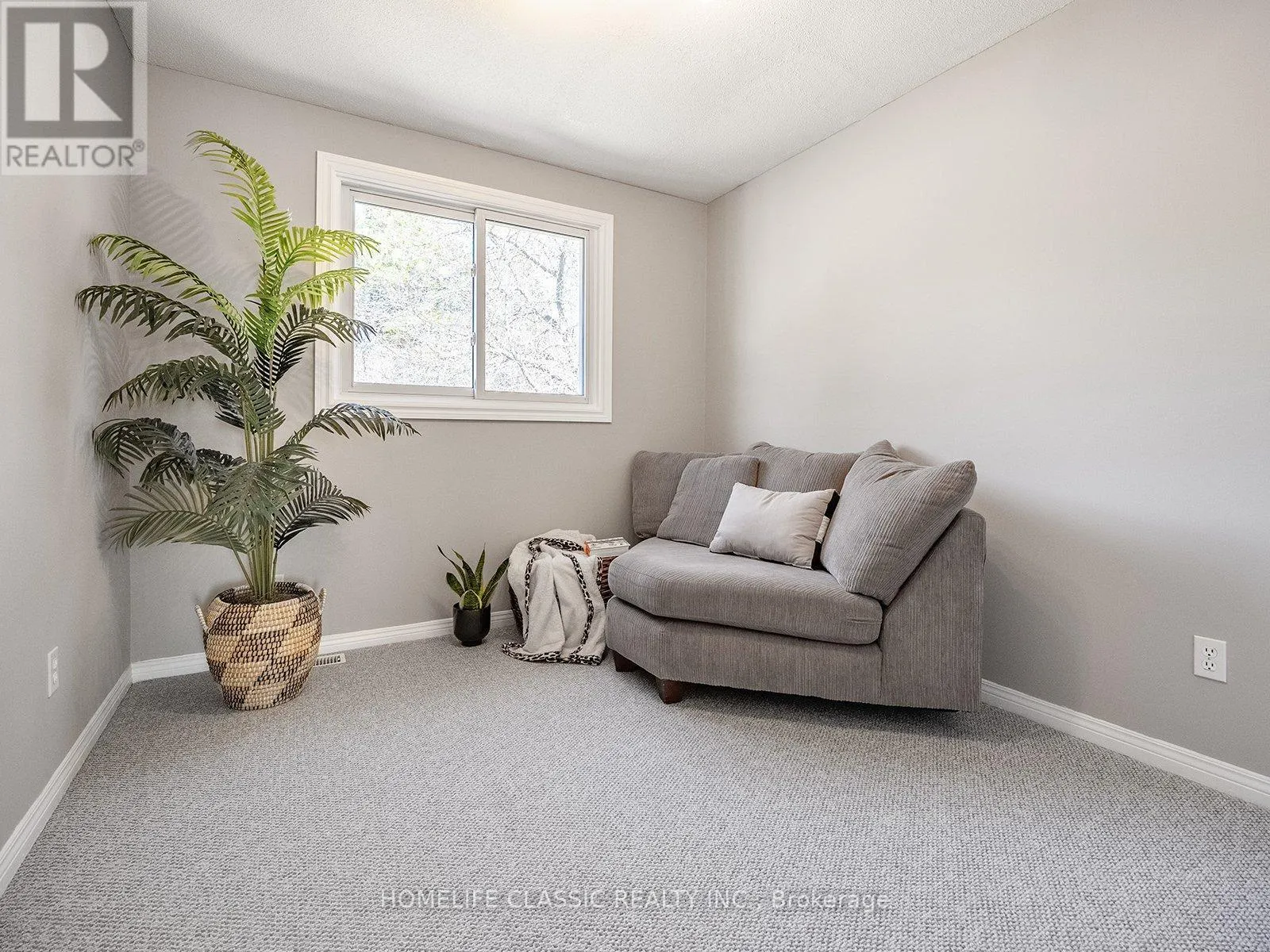 62 TERRACE DRIVE