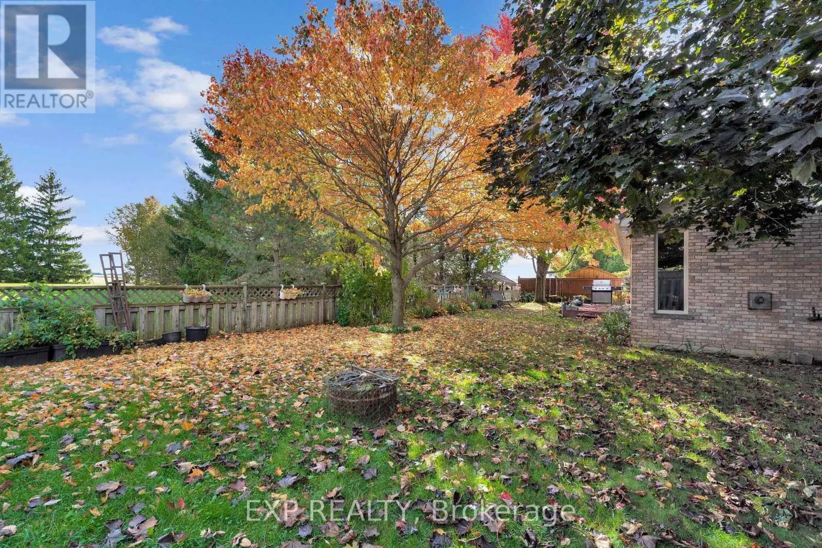17 ABBEY LANE