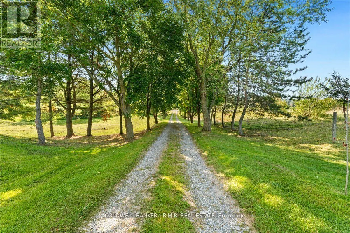 1126 COUNTY 41 ROAD