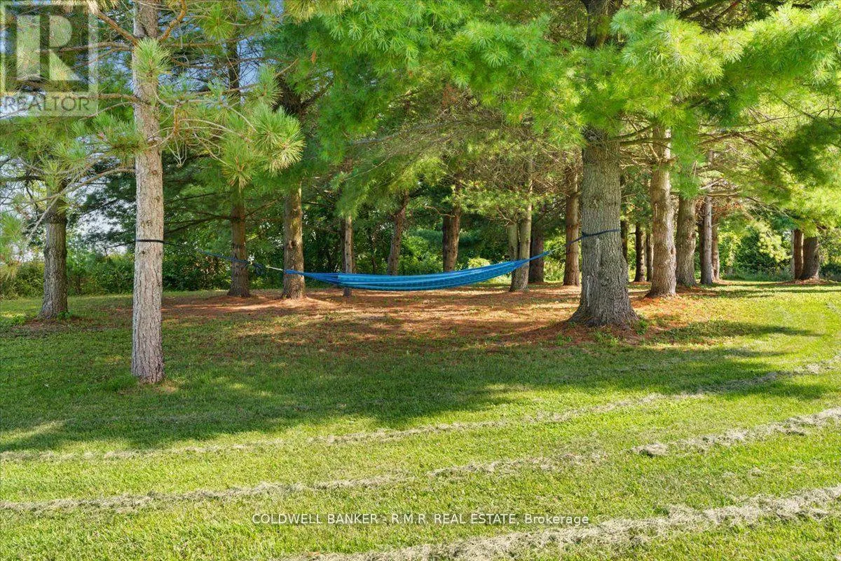 1126 COUNTY 41 ROAD