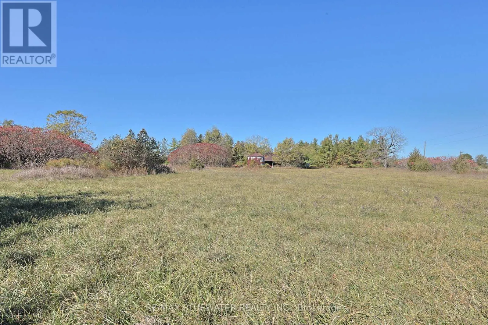 9165 WIDDER ROAD
