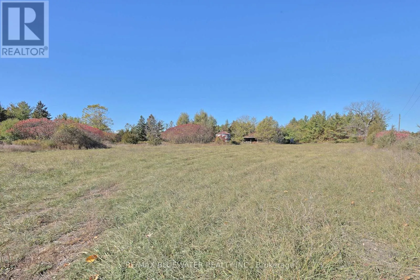 9165 WIDDER ROAD