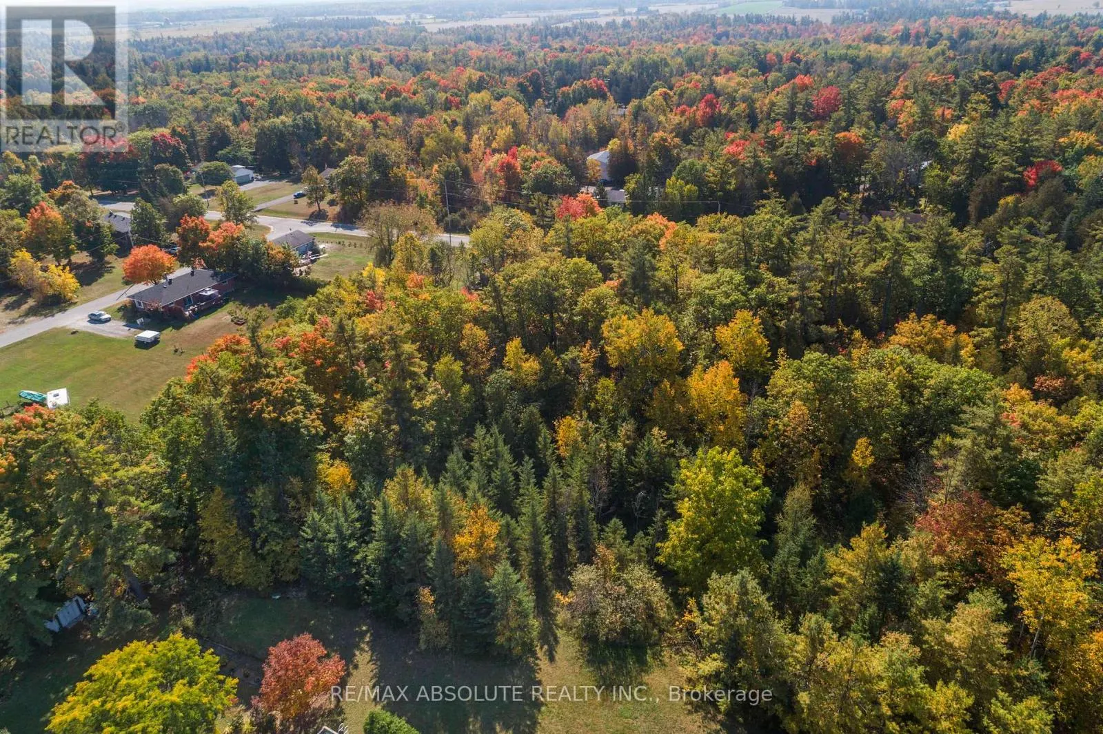 01 BRAECREST AVENUE