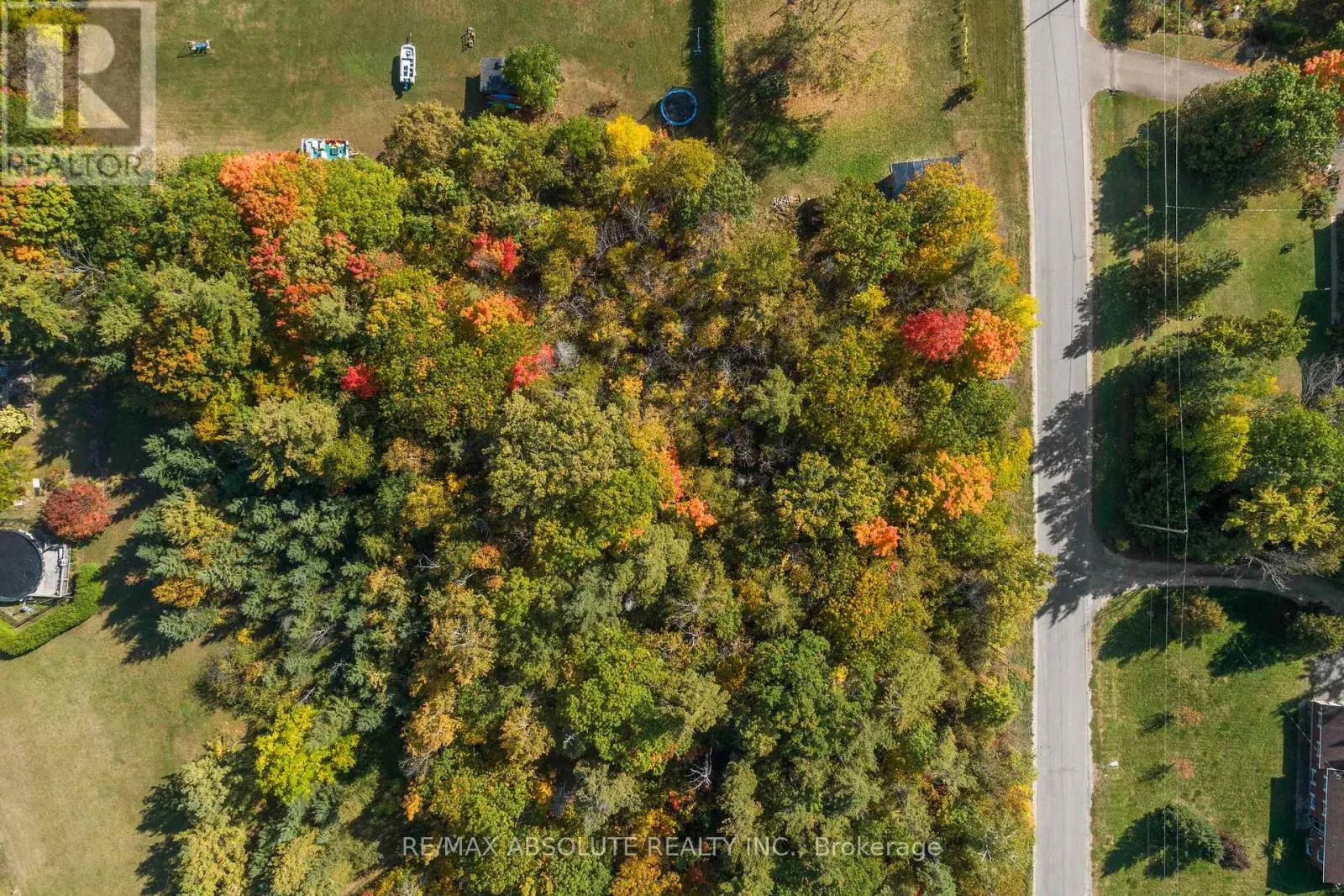 01 BRAECREST AVENUE