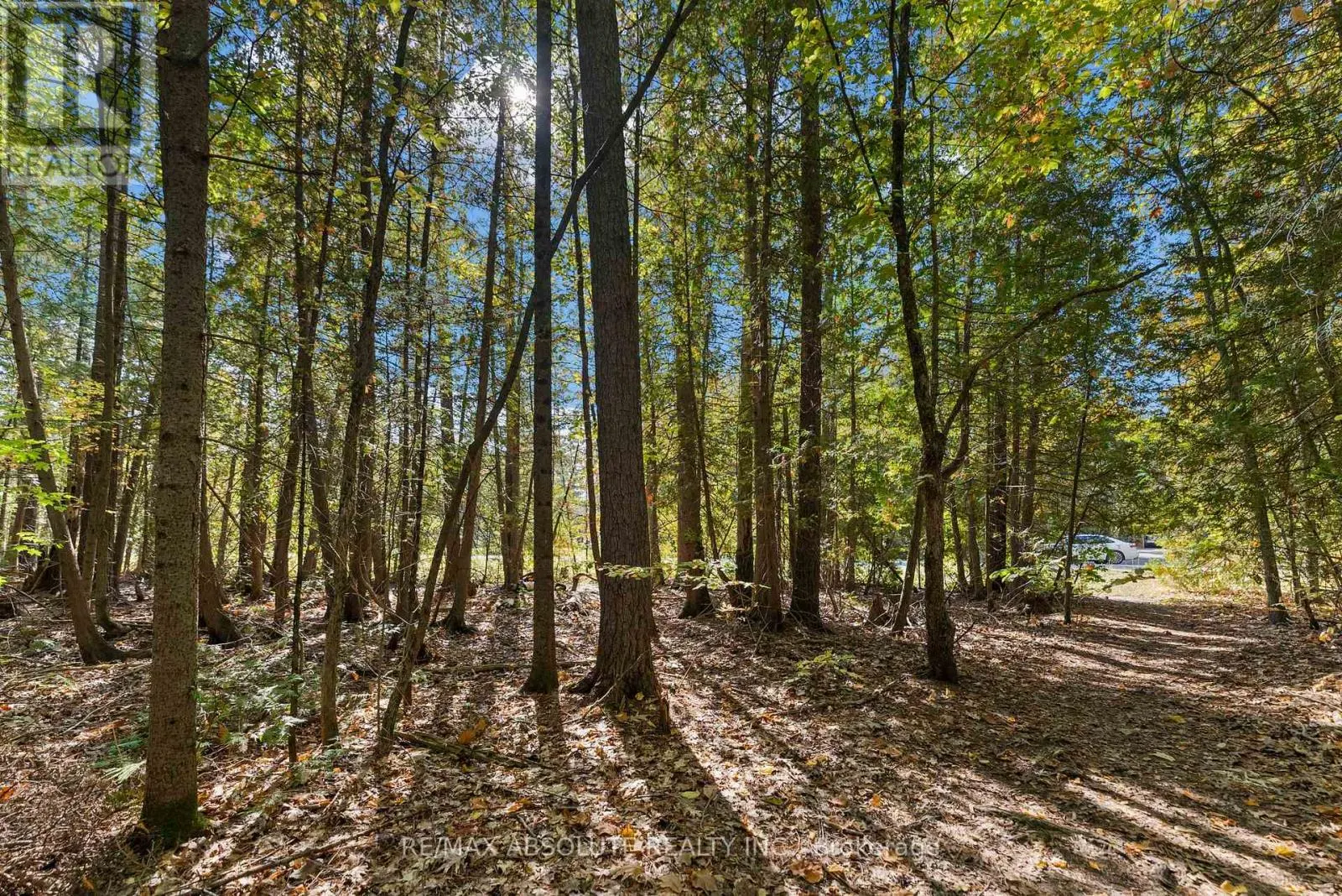 01 BRAECREST AVENUE