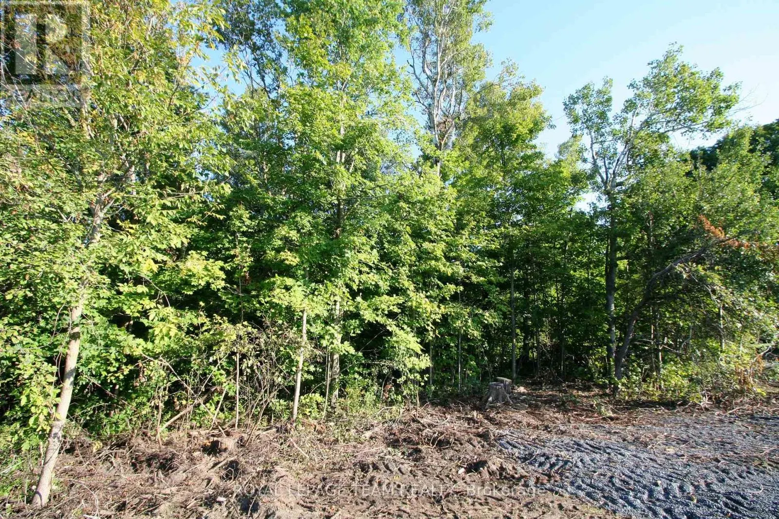 PTLT31 PLEASANT VALLEY ROAD