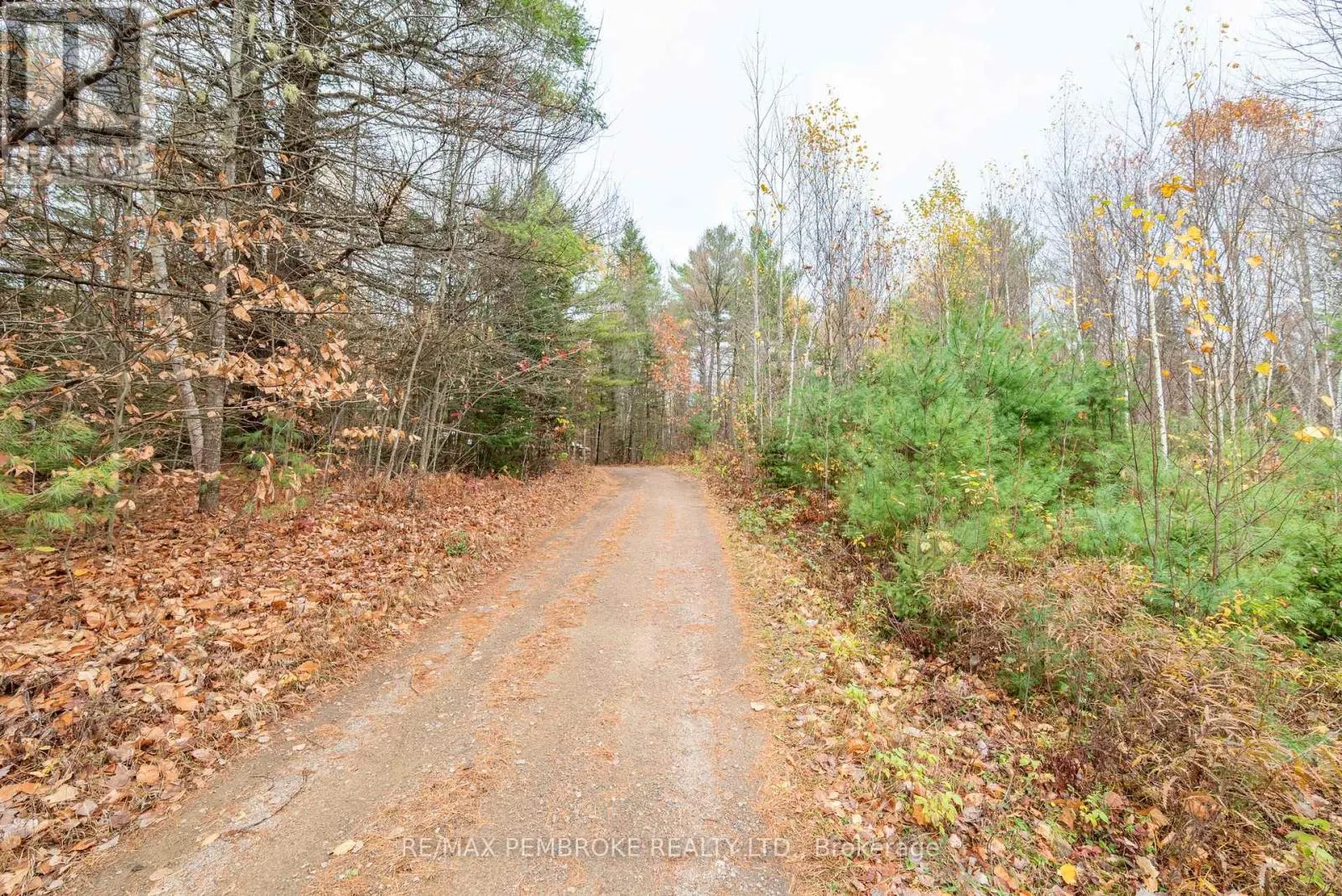 1778 FOREST LEA ROAD