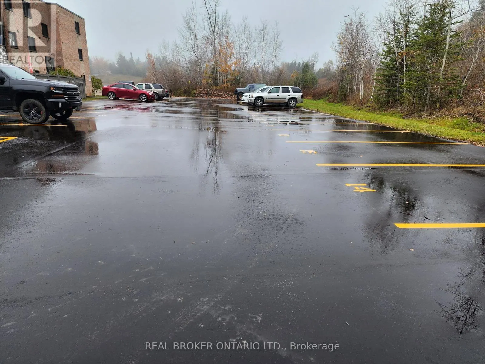 APT 5 - 15 WELLINGTON RD 124