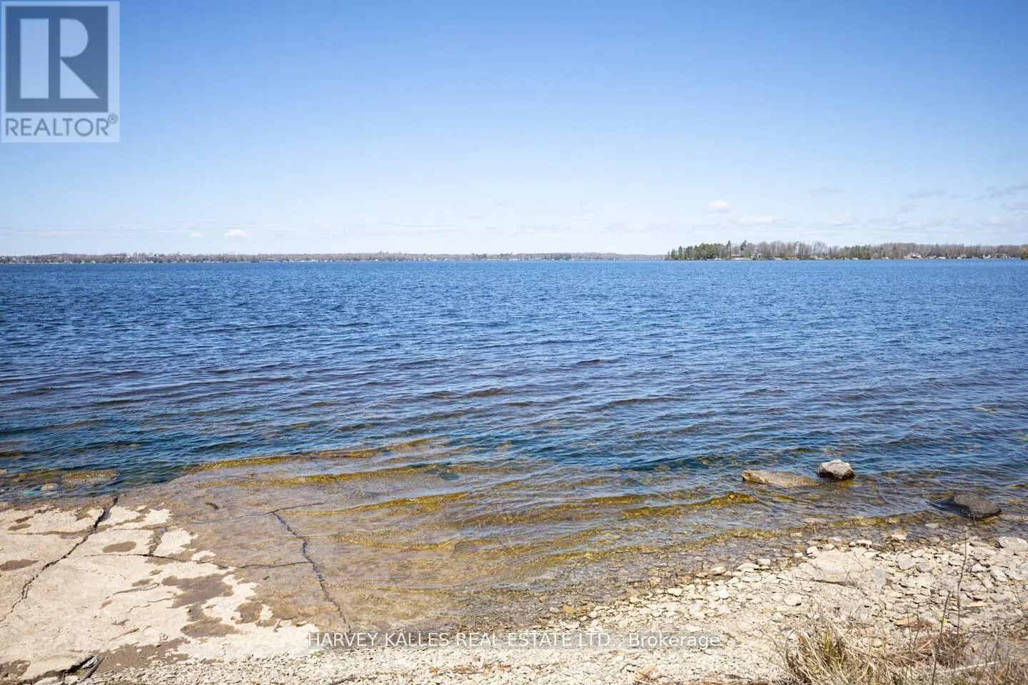 205 - 19B WEST STREET