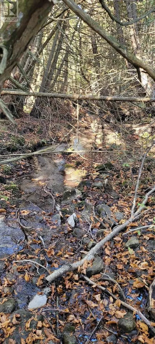 323 ORANGE CORNERS ROAD