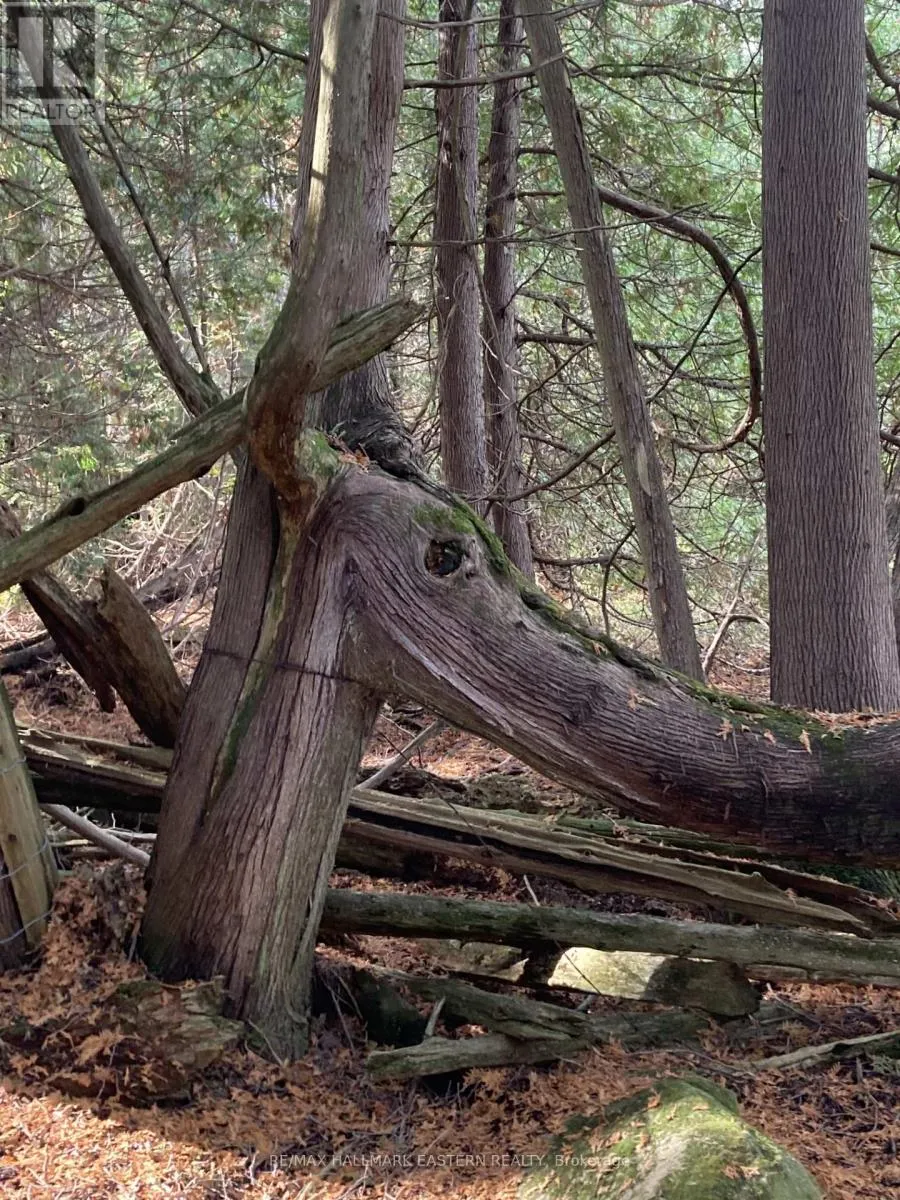 323 ORANGE CORNERS ROAD