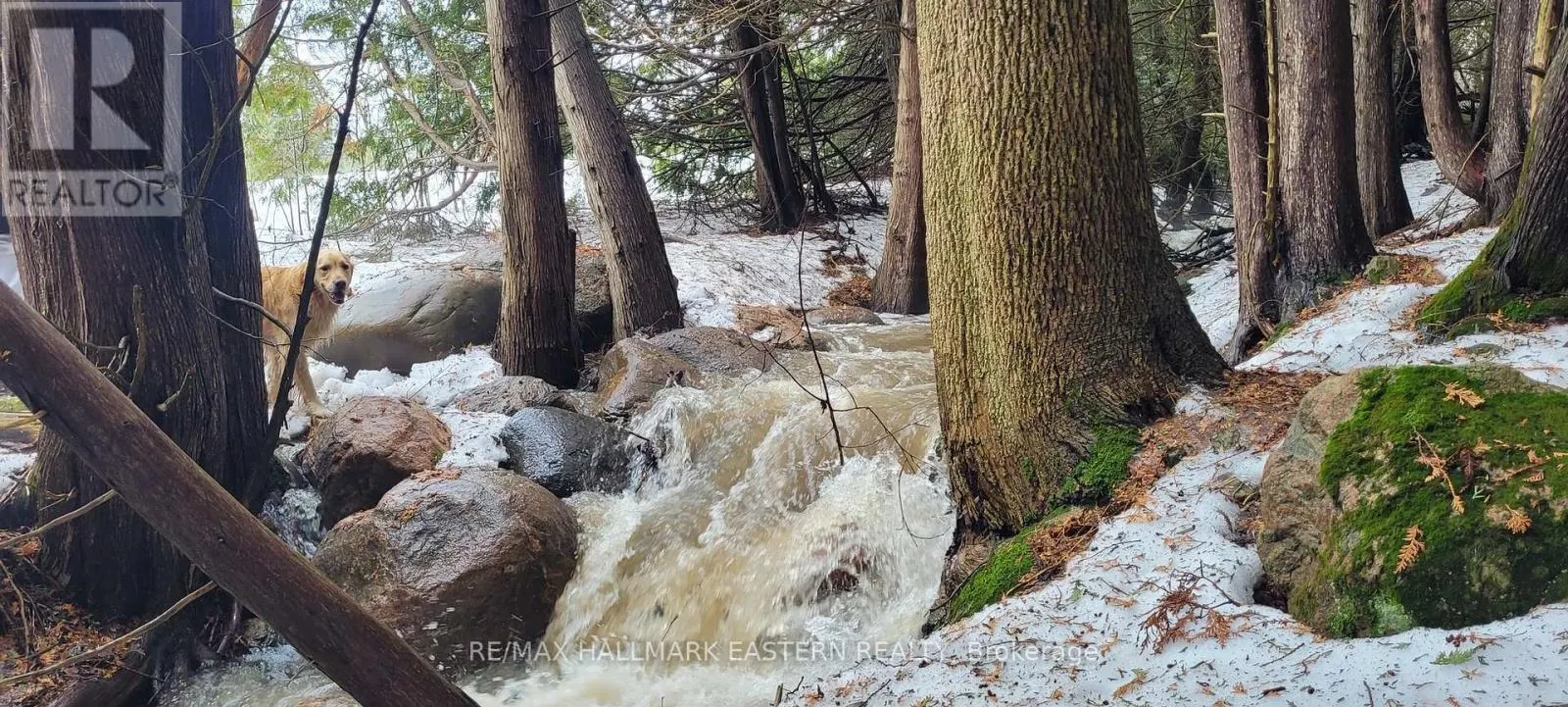 323 ORANGE CORNERS ROAD