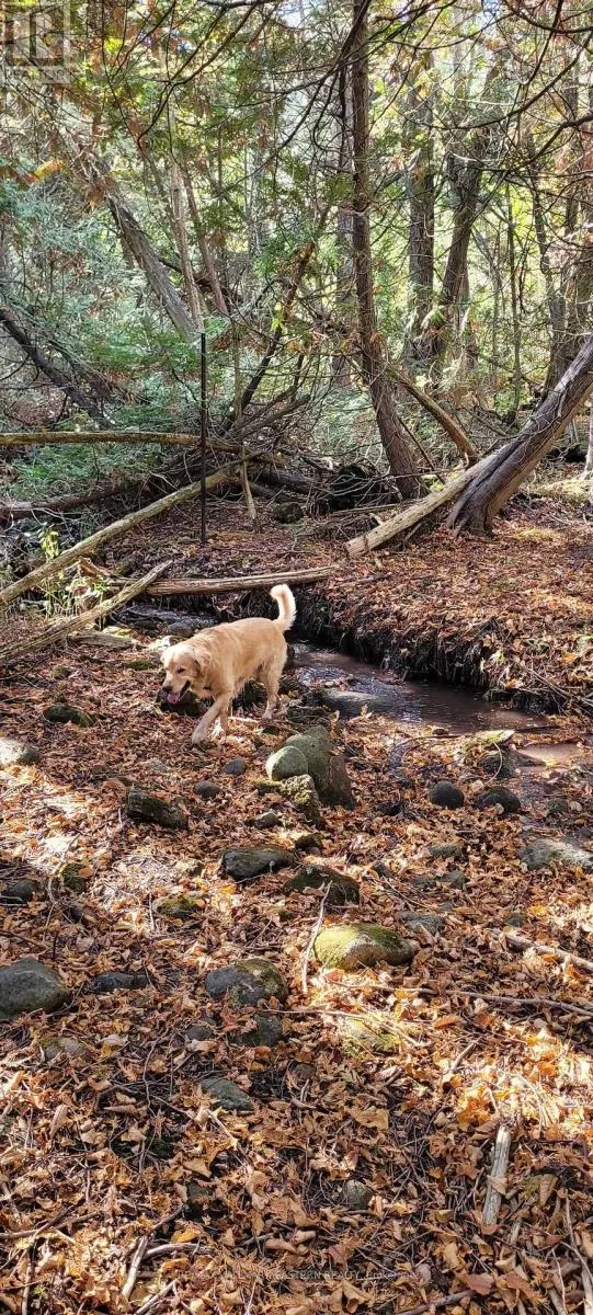 323 ORANGE CORNERS ROAD