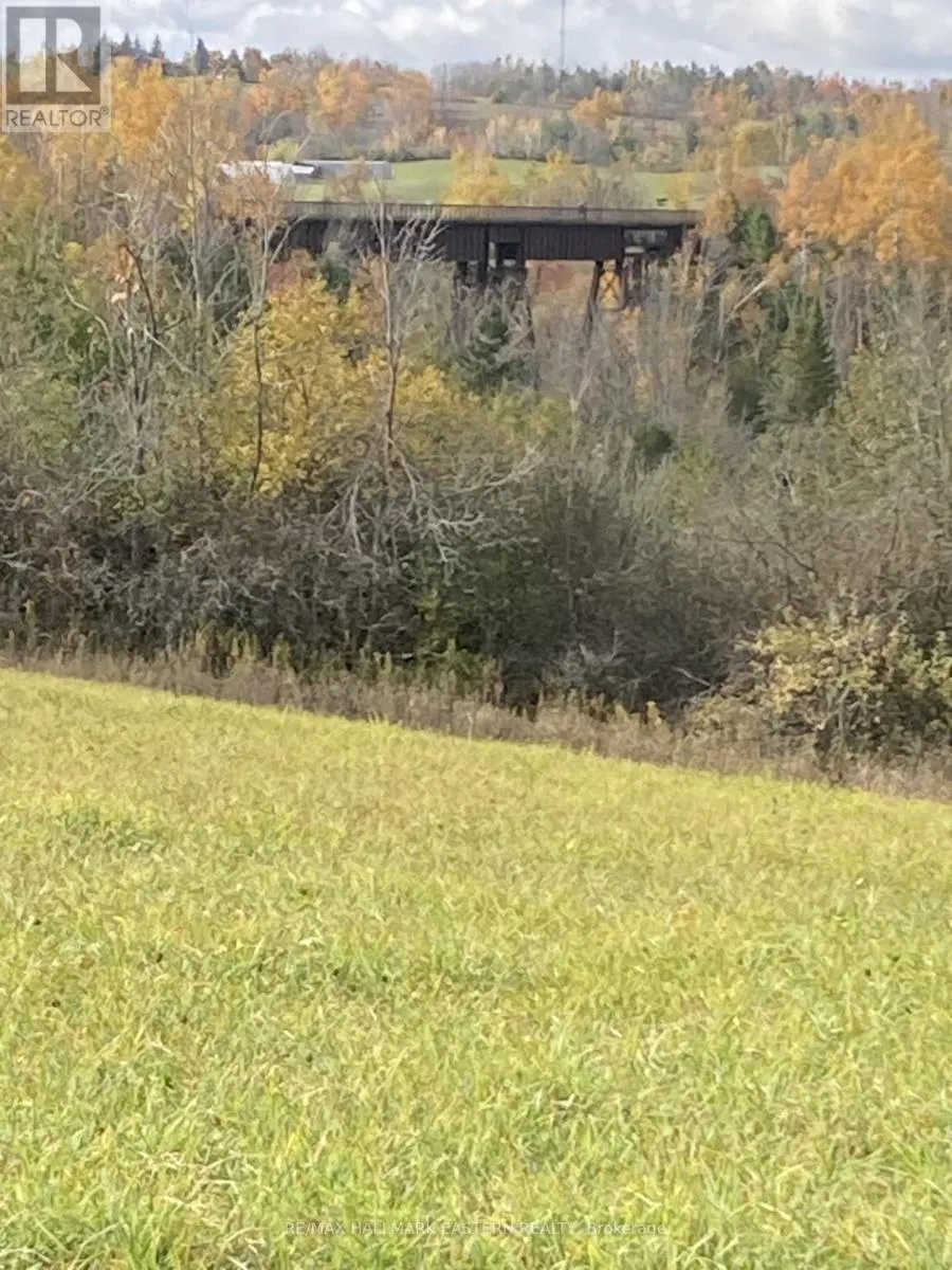 323 ORANGE CORNERS ROAD