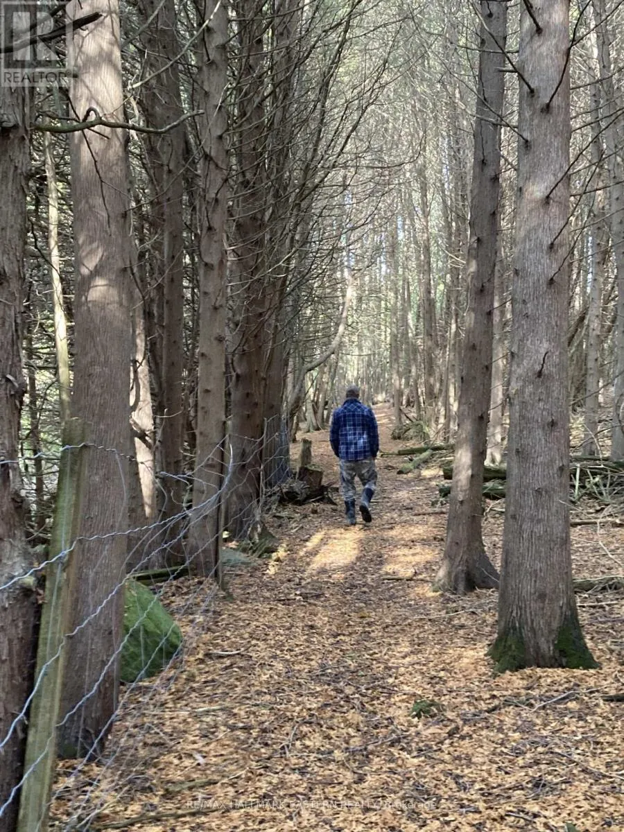 323 ORANGE CORNERS ROAD