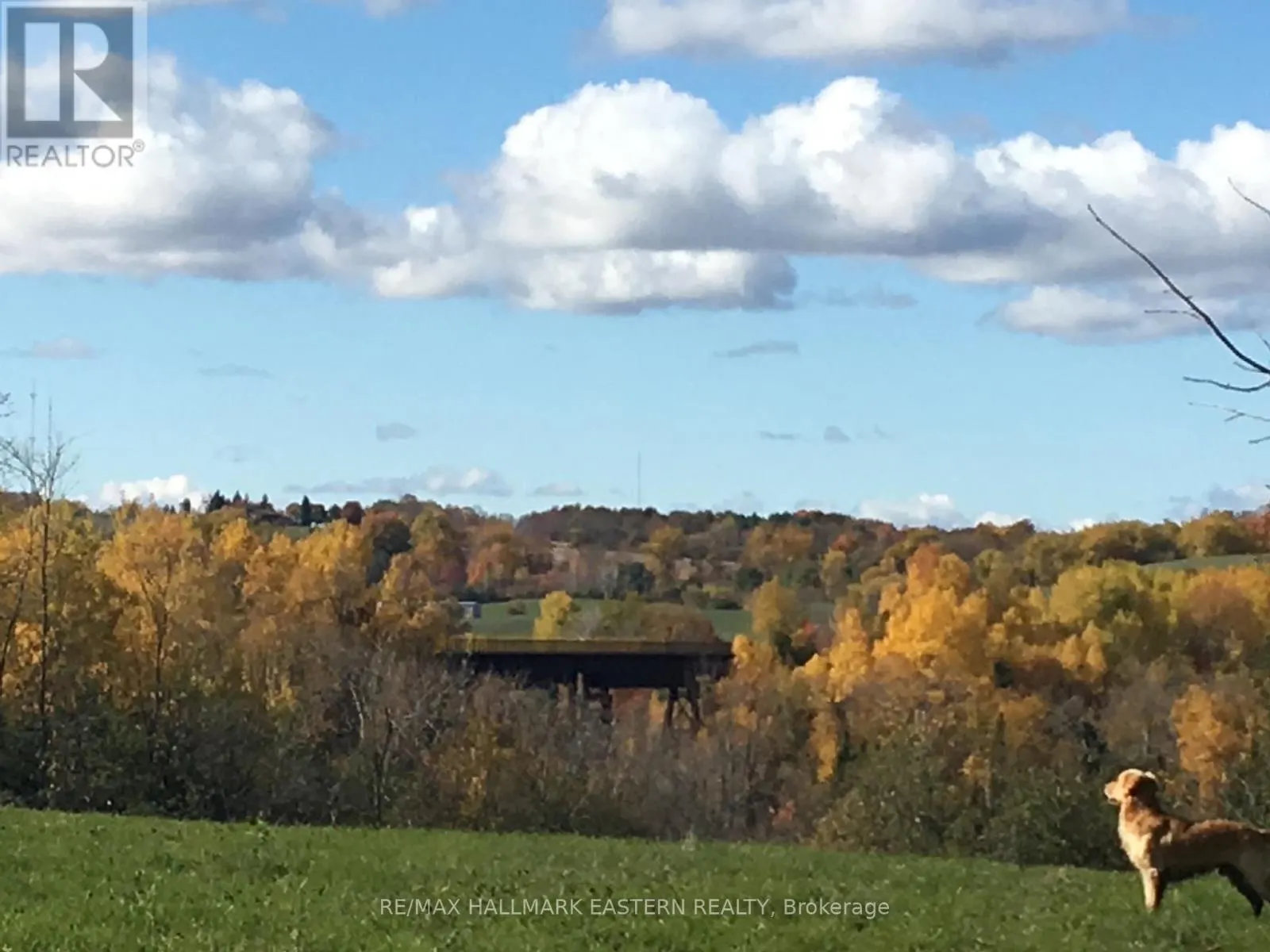 323 ORANGE CORNERS ROAD