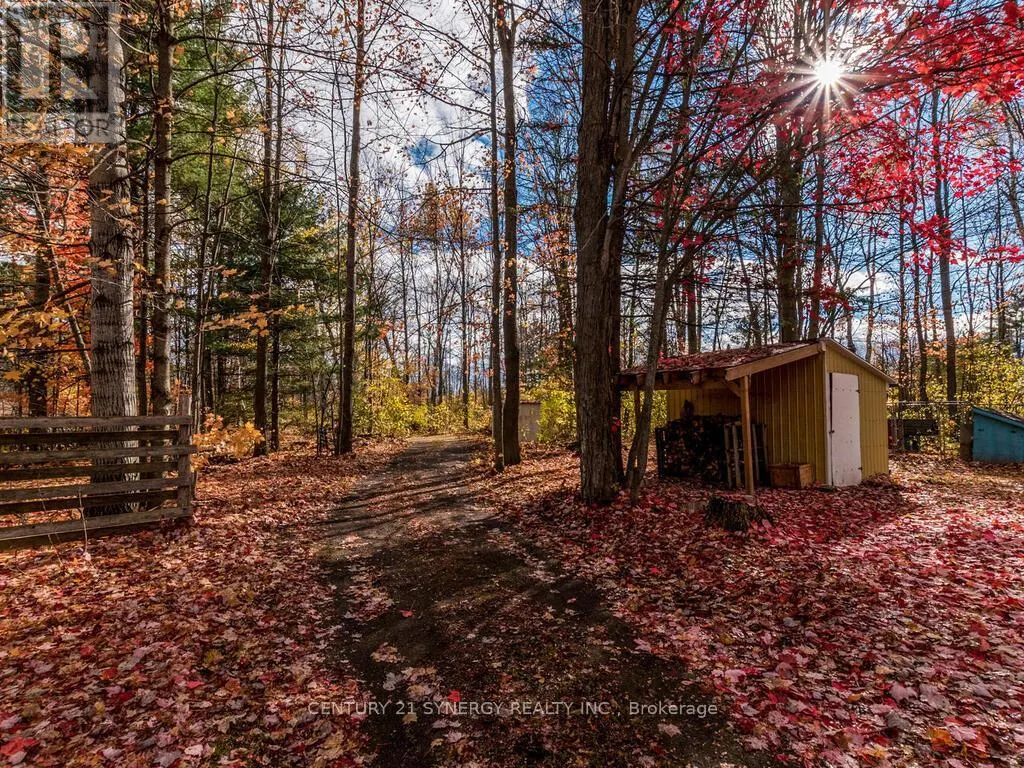 1423 DIAMONDVIEW ROAD