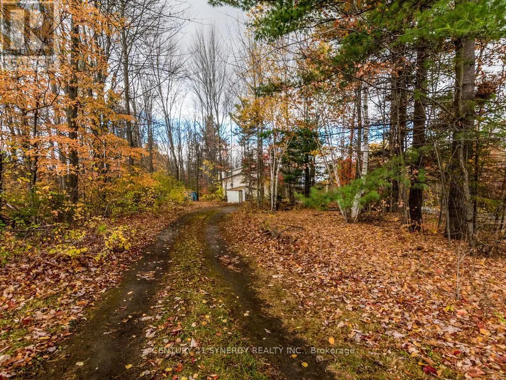 1423 DIAMONDVIEW ROAD