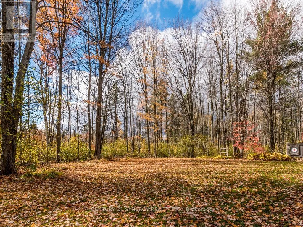 1423 DIAMONDVIEW ROAD