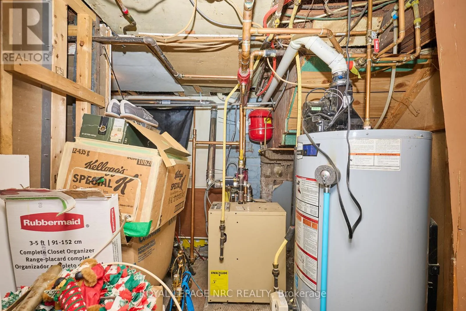 6173 PINE GROVE AVENUE