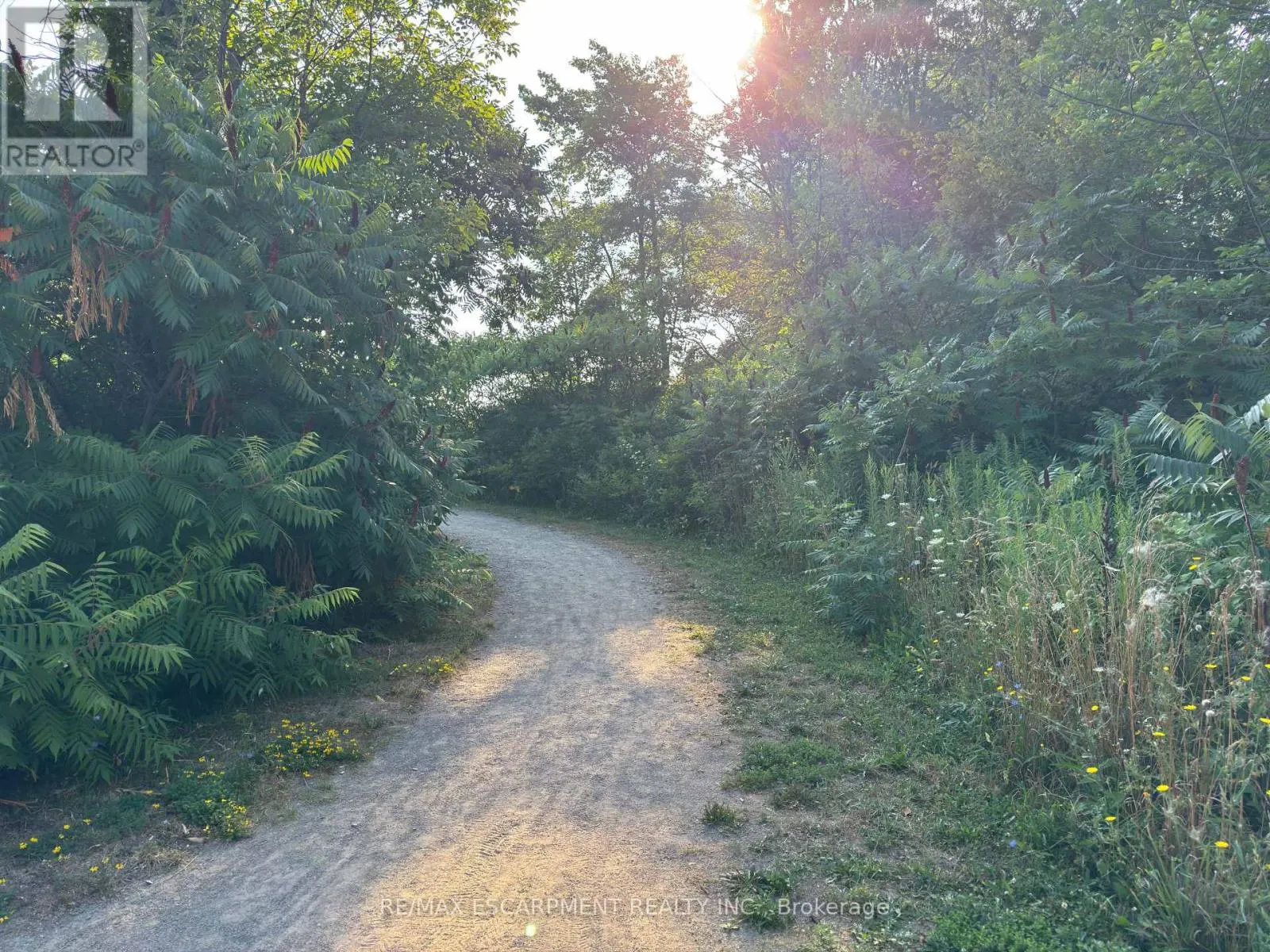 313 - 35 SOUTHSHORE CRESCENT