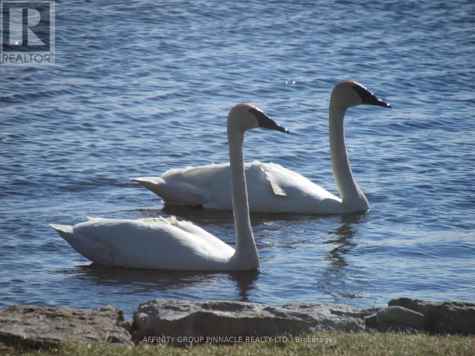 11 LAKEVIEW CRESCENT