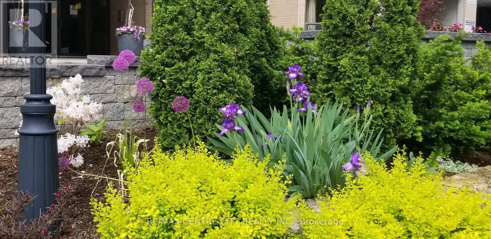 205 - 549 RIDOUT STREET N, #205