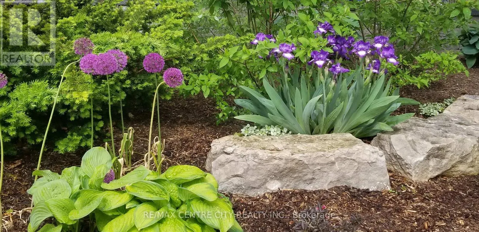 205 - 549 RIDOUT STREET N, #205