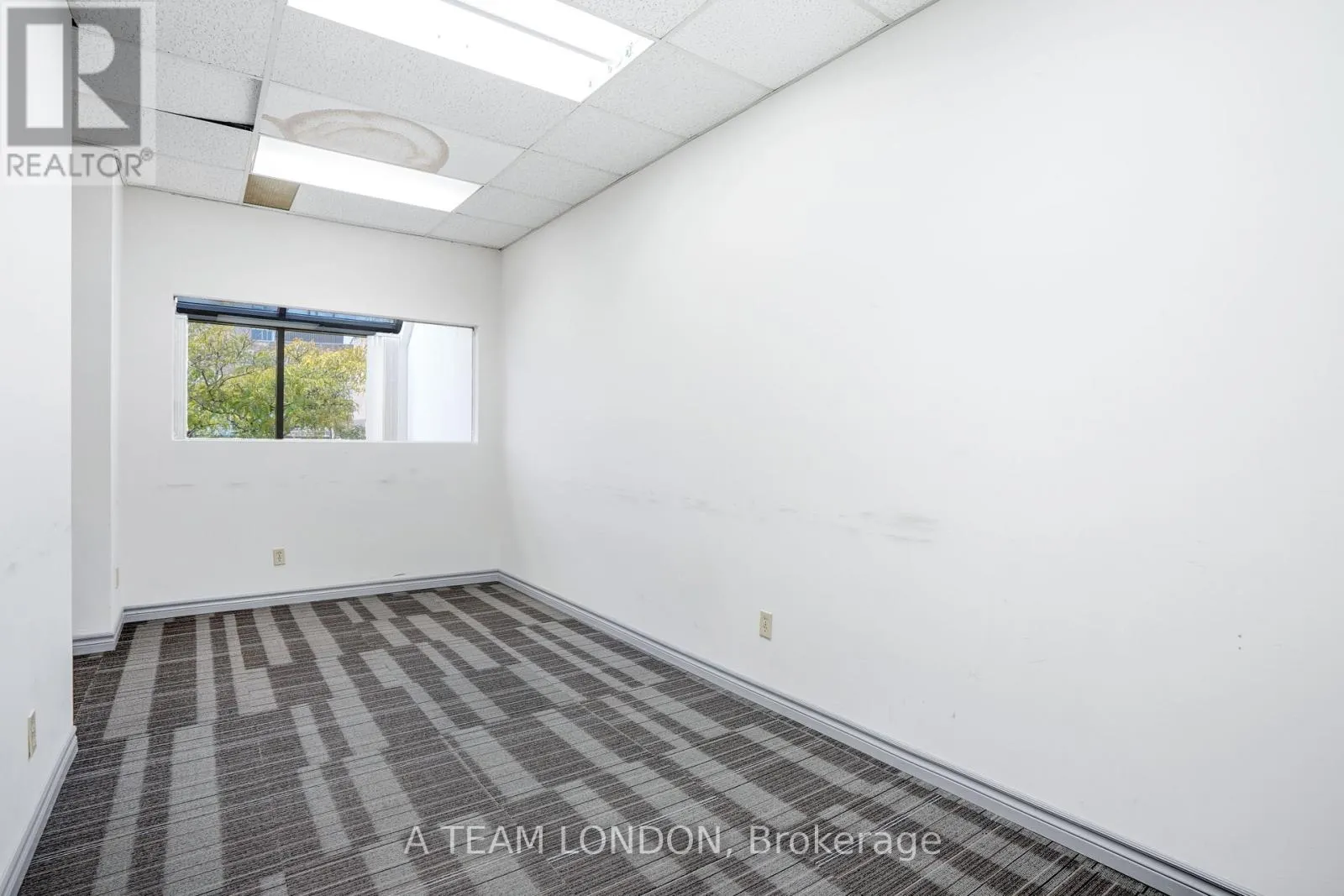 B - 394 CLARENCE STREET, #B