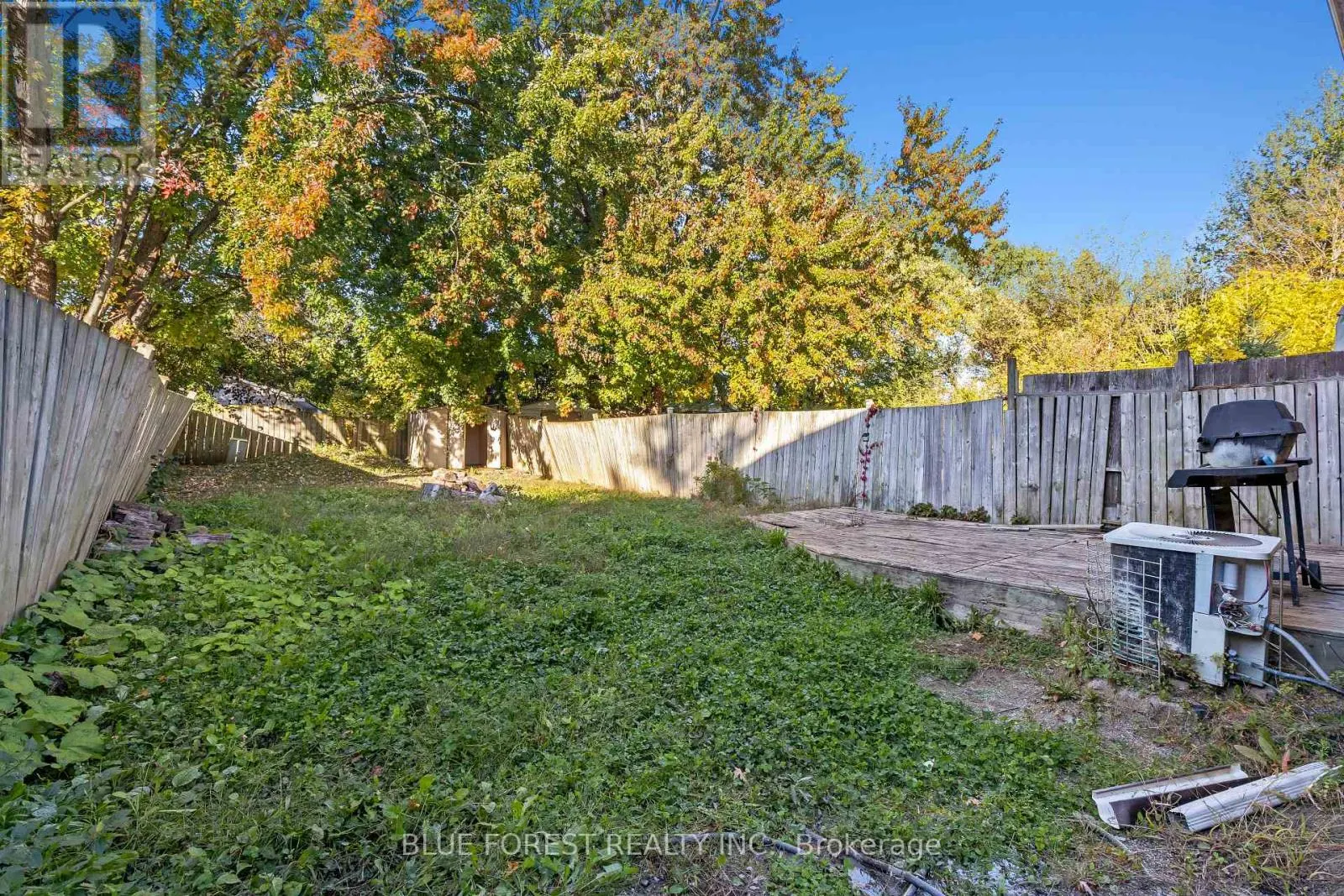 1333 LIMBERLOST ROAD