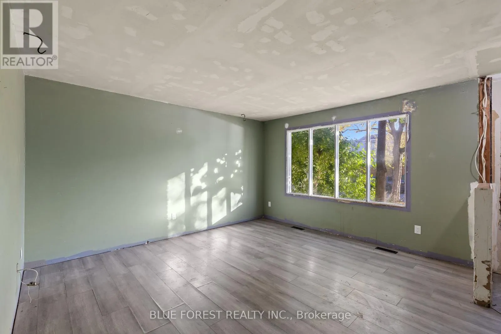 1333 LIMBERLOST ROAD