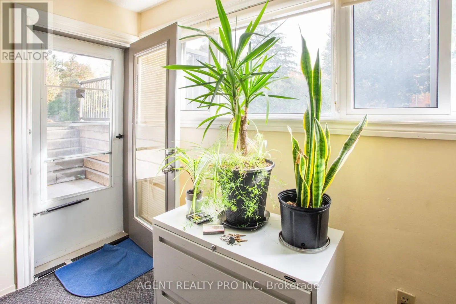 117 - 5 JACKSWAY CRESCENT, #117