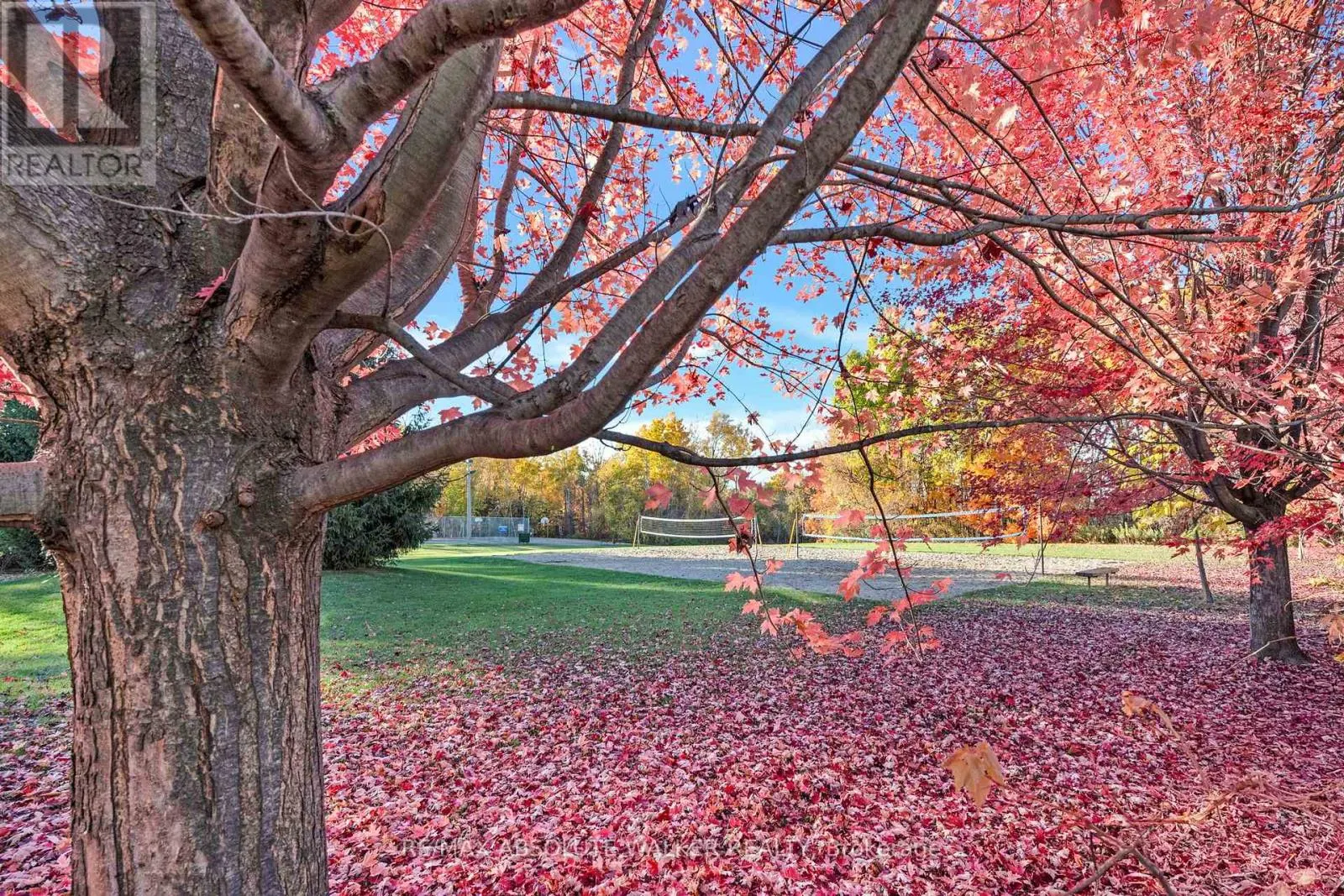 126 FORESTCREST STREET