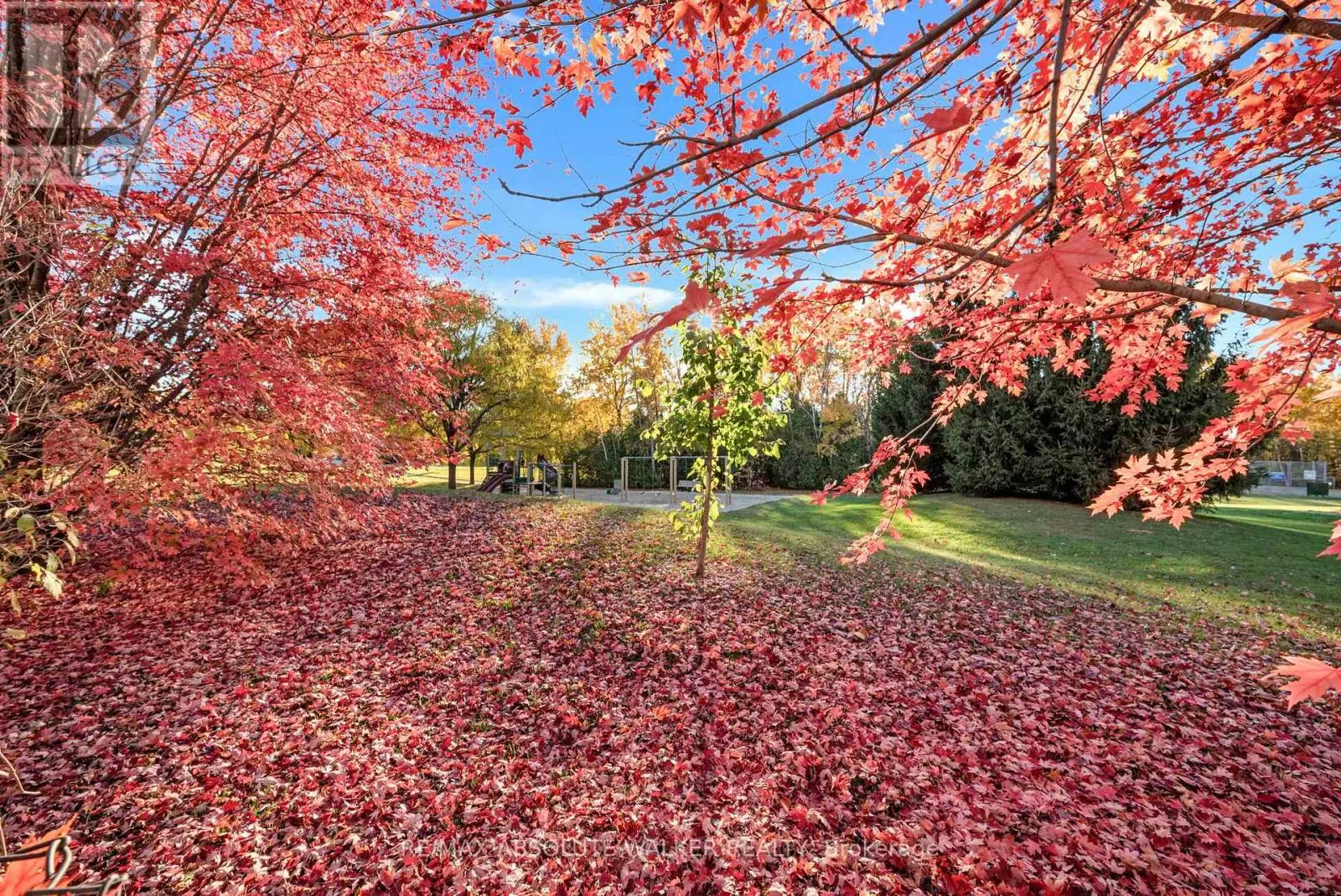 126 FORESTCREST STREET