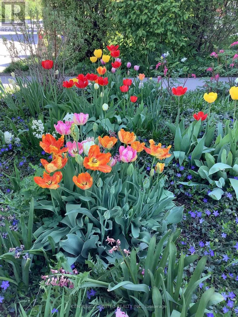 458 DRISCOLL TERRACE